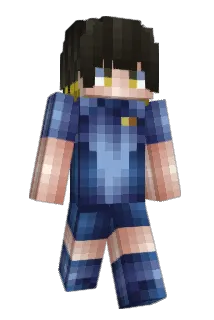 d_niool Minecraft avatar full body