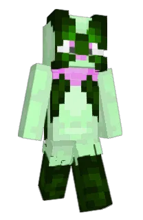 benjilol1's Minecraft skin