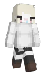Slim Minecraft skin
