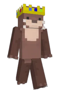 Front of Ol9Dumb's skin