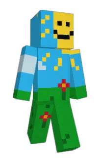 Front of vidh's skin