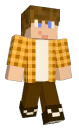 sea buckthorn and saddle brown Minecraft skin — Classic model