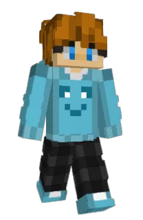 Front of Vee9_'s skin