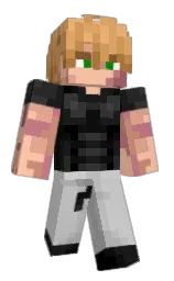 Classic Minecraft skin