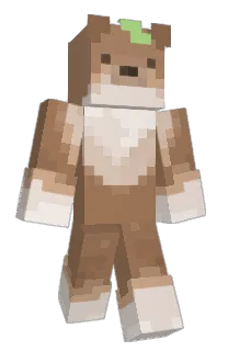 Front of Amateureur's skin
