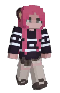 Front of FipSa's skin