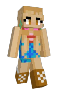 Front of Pickelsmack's skin