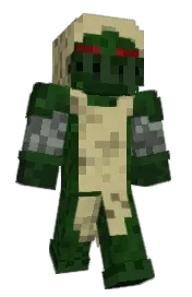 Skin preview