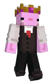 N0tThis's Minecraft skin