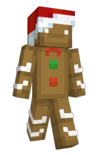 Front of refaz's skin