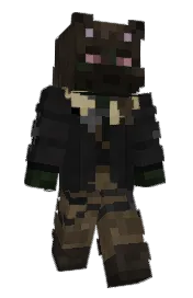 Skin preview