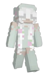 Front of Nixellic's skin