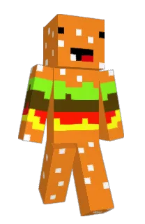 joshapr's Minecraft skin