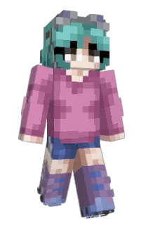 Front of snooket's skin