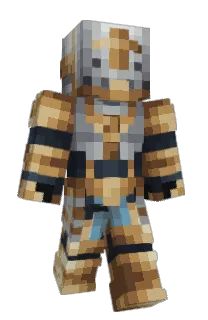 Front of Element_N's skin