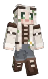 Minecraft skin — Classic model