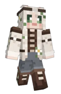 Front of Minecraft skin