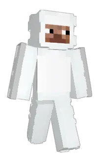 Front of pvter's skin