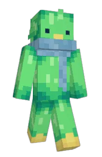 Front of mslix's skin