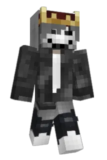 daaario Minecraft avatar full body