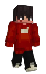 Minecraft skin — Classic model