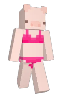 Xoji's Minecraft skin