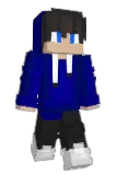 daandsp Minecraft avatar full body