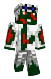 Skin preview