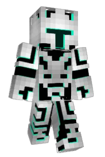 dabird309 Minecraft avatar full body
