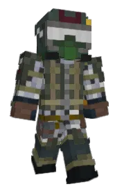 Skin preview