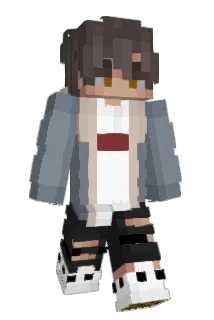 dac_900 Minecraft avatar full body