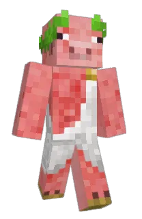 Front of jerenasi's skin