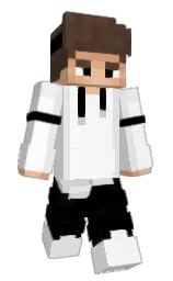 white and black Minecraft skin — Classic model — first worn by EinFxlix