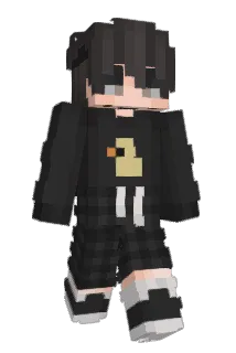 dadasdsa Minecraft avatar full body