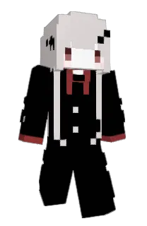 Front of Torisanpoppo's skin