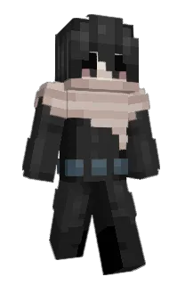 hawkeye2203's Minecraft skin