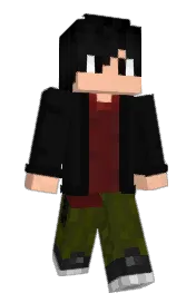Skin preview