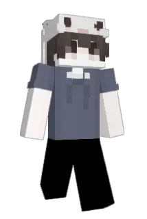 dafeifei1 Minecraft avatar full body