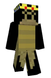 Skin preview