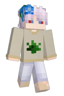dagarred Minecraft avatar full body