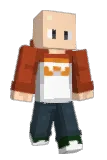 dagidd Minecraft avatar full body
