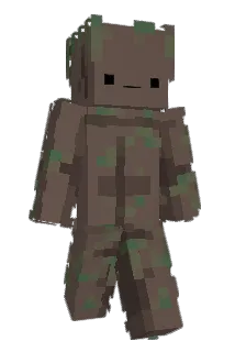 dairoom Minecraft avatar full body