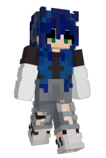 daixoe Minecraft avatar full body