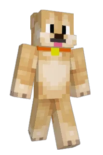 dakotacooldog13 Minecraft avatar full body