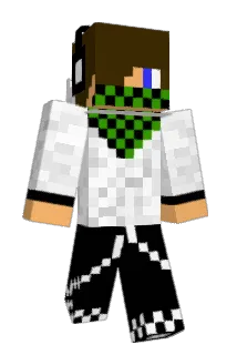 damek1010 Minecraft avatar full body