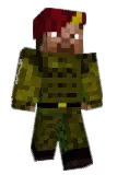 damianek_pl Minecraft avatar full body