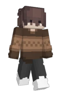 damiqnz Minecraft avatar full body