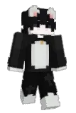 damnssss Minecraft avatar full body