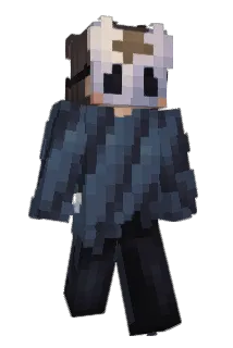 damspider Minecraft avatar full body
