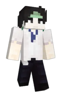 damt Minecraft avatar full body